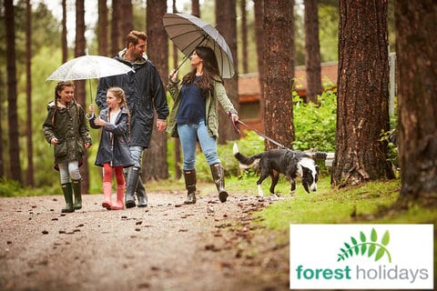 can you take dogs on forest holidays
