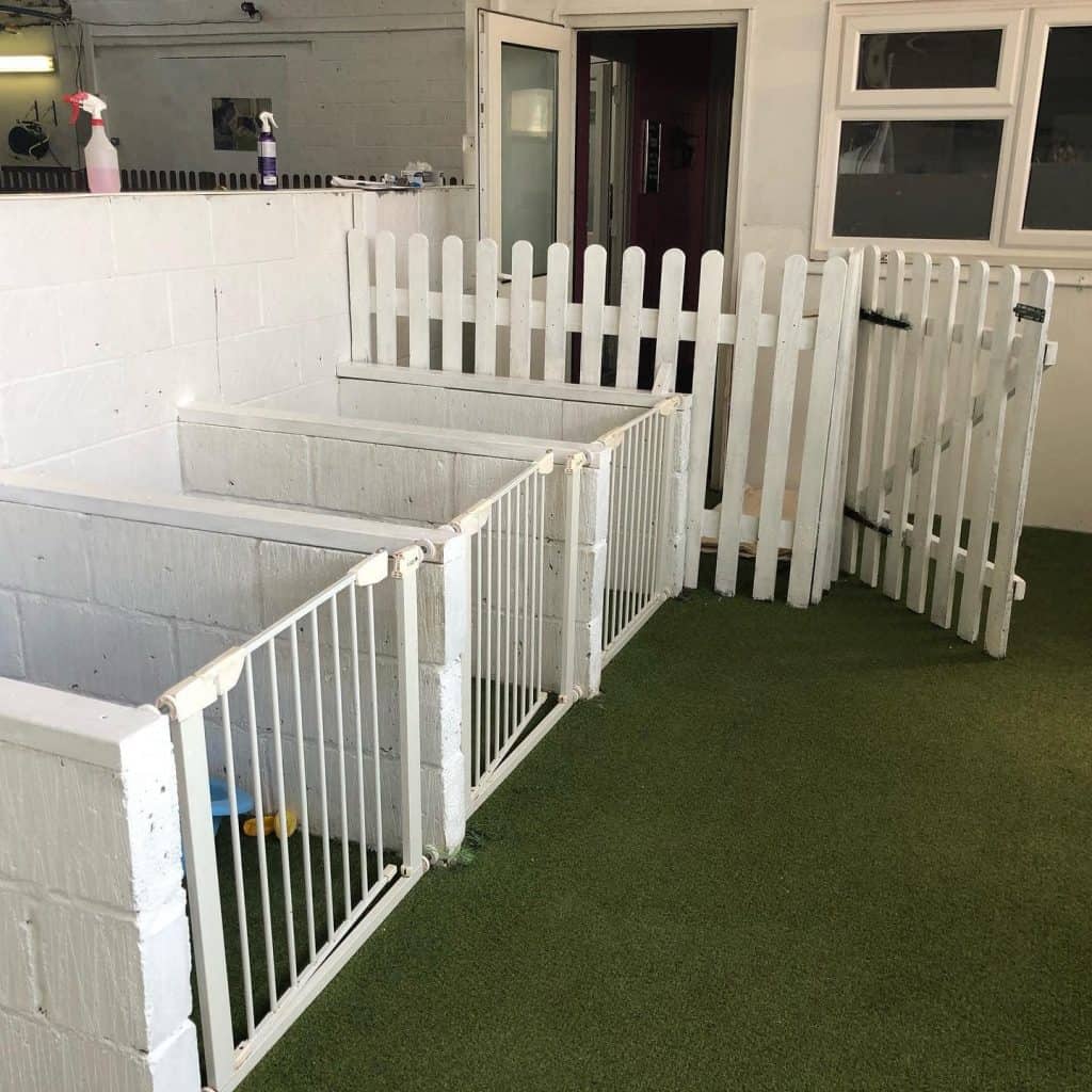 Paws Indoors Doggy Park And Daycare Centre Southend Dotty4paws